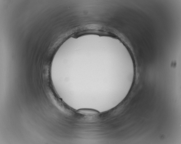 X0000113130057200910161142