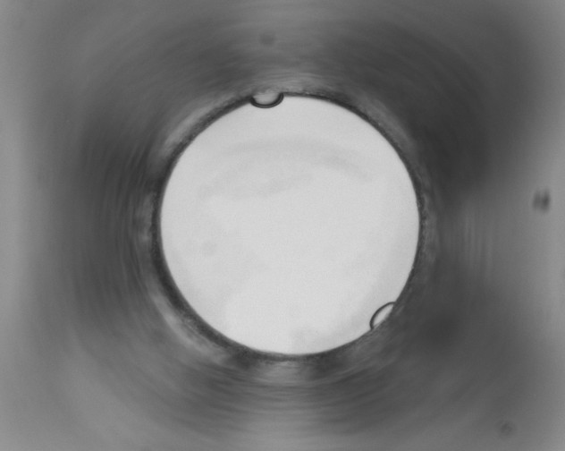 X0000113130058200910161142