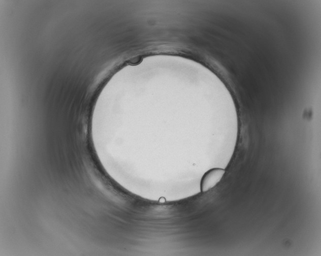 X0000113130059200910161142