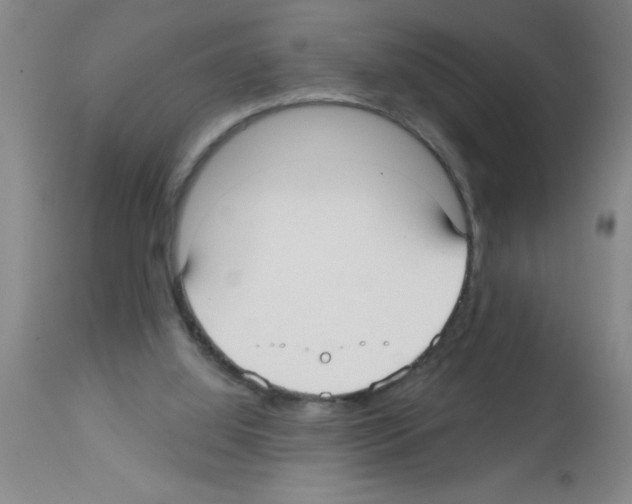 X0000113130060200910161142