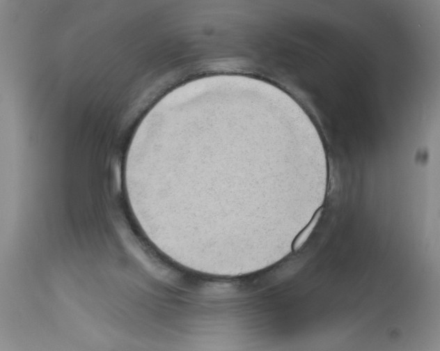 X0000113130061200910161142