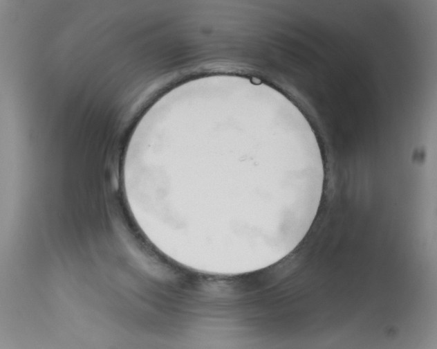 X0000113130062200910161142