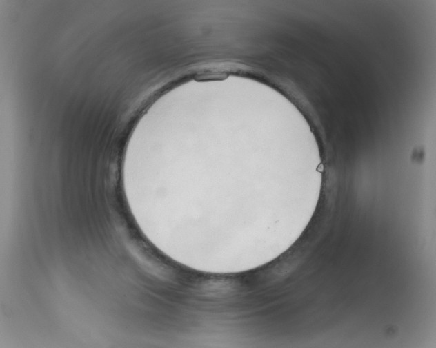 X0000113130063200910161142