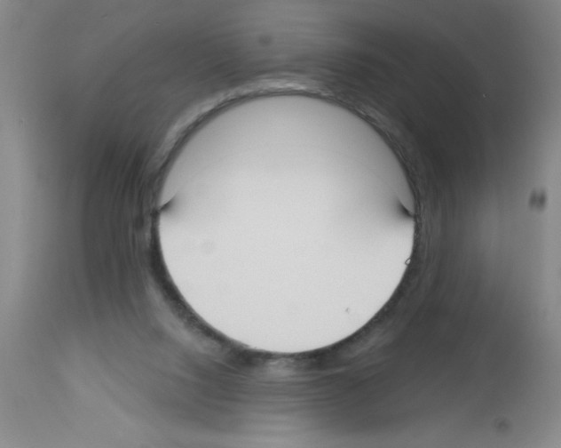 X0000113130064200910161142