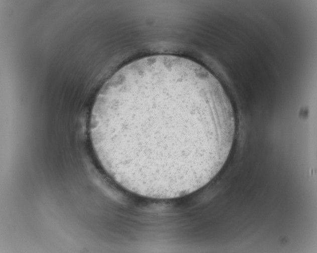 X0000113130065200910161142