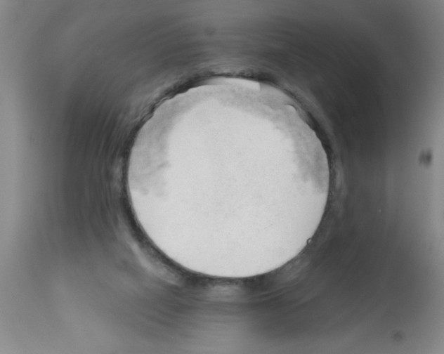X0000113130066200910161142