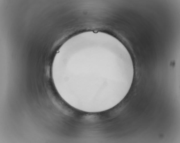 X0000113130067200910161142
