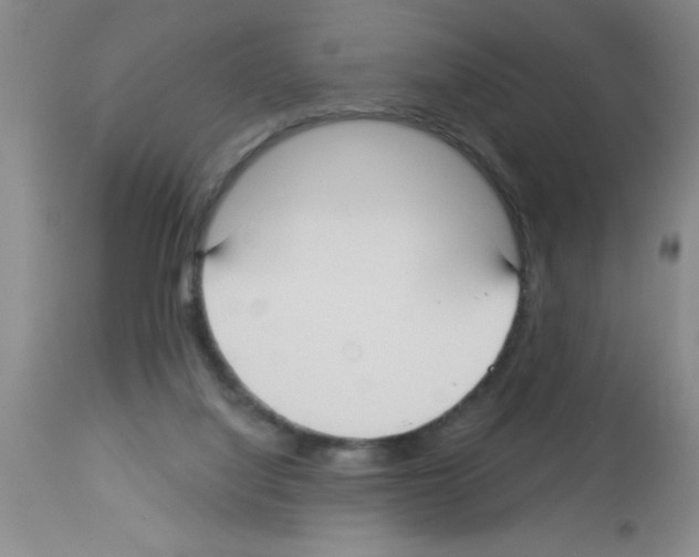 X0000113130068200910161142