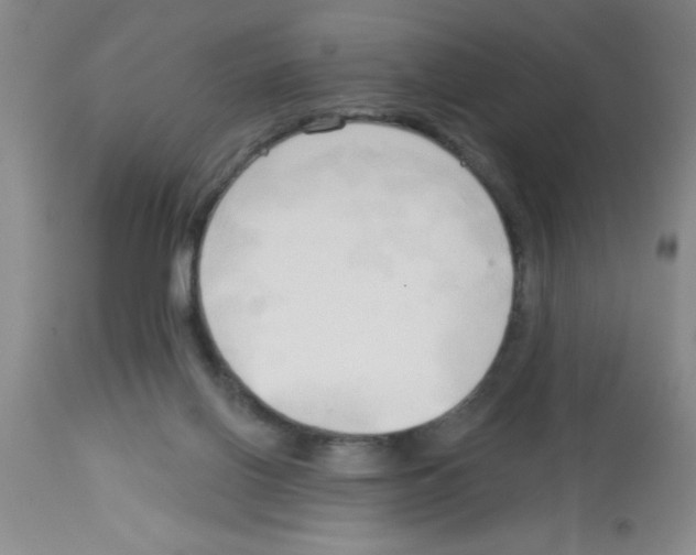 X0000113130070200910161142