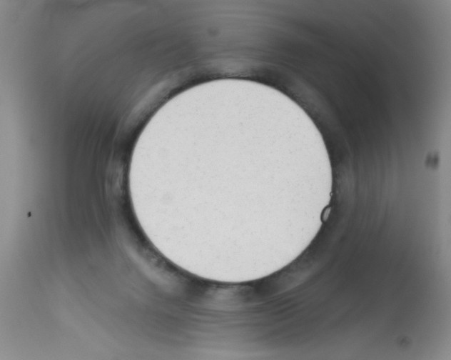 X0000113130072200910161142