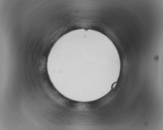 X0000113130073200910161142