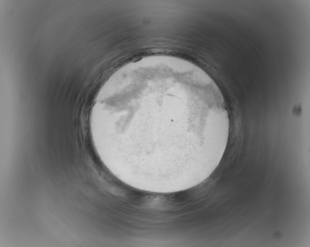 X0000113130074200910161142