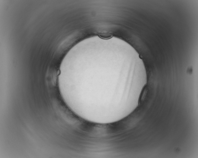 X0000113130076200910161142