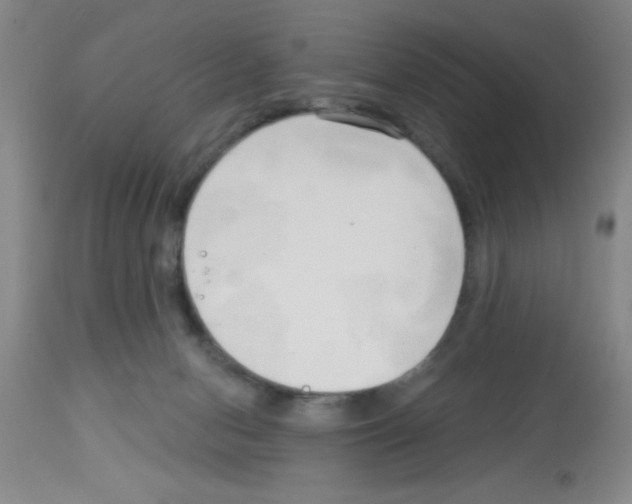 X0000113130078200910161142