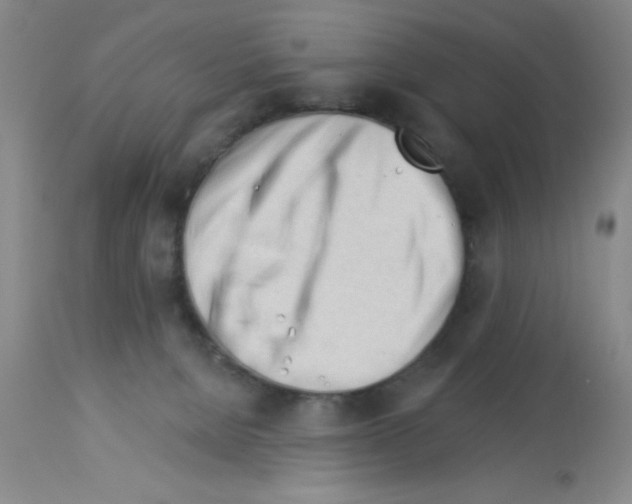 X0000113130080200910161142