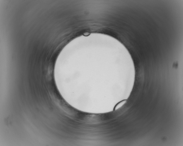 X0000113130082200910161142