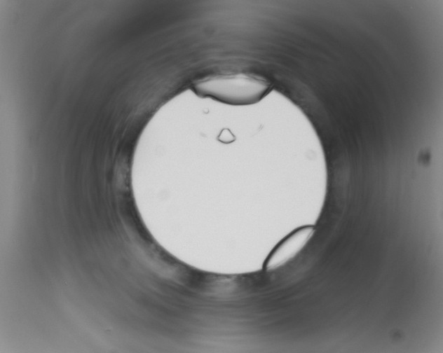 X0000113130083200910161142