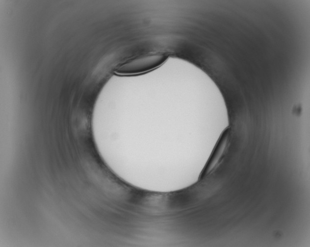 X0000113130084200910161142