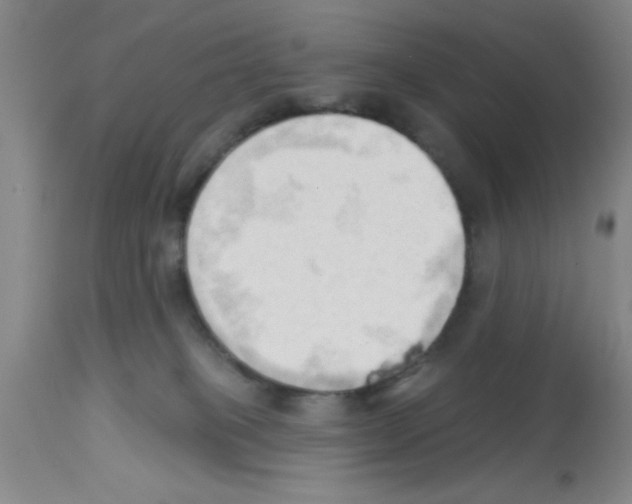 X0000113130085200910161142