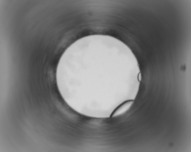 X0000113130086200910161142