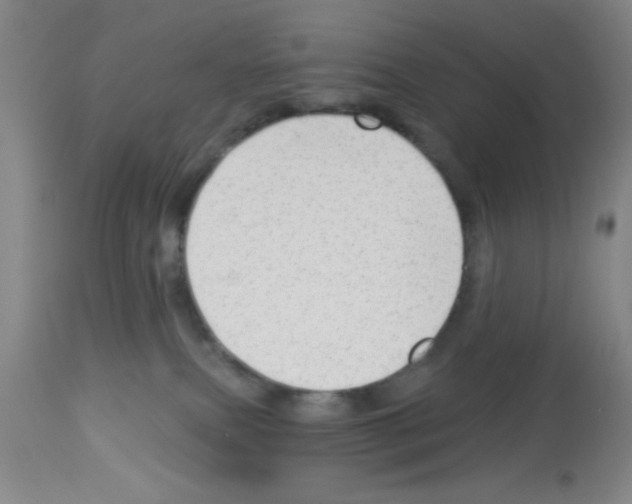 X0000113130087200910161142
