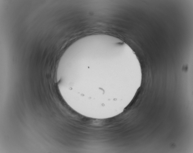 X0000113130088200910161142
