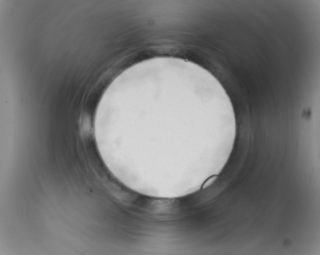 X0000113130089200910161142