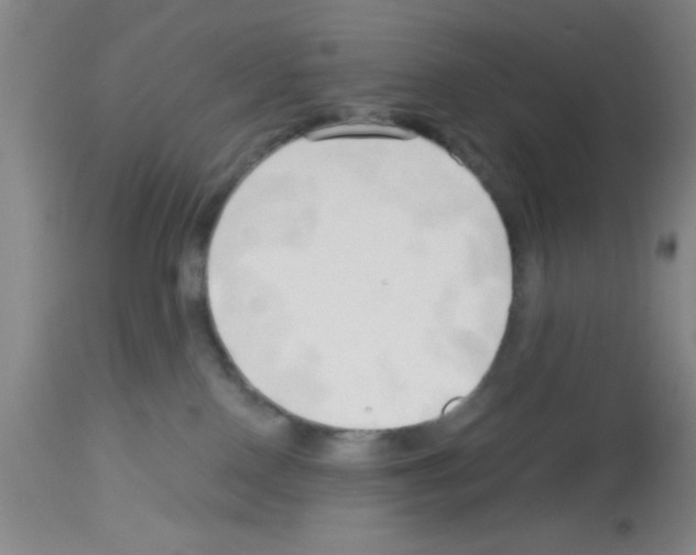 X0000113130090200910161142