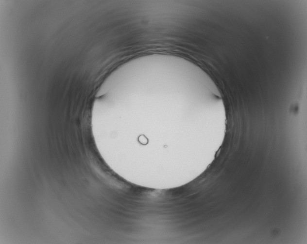 X0000113130092200910161142