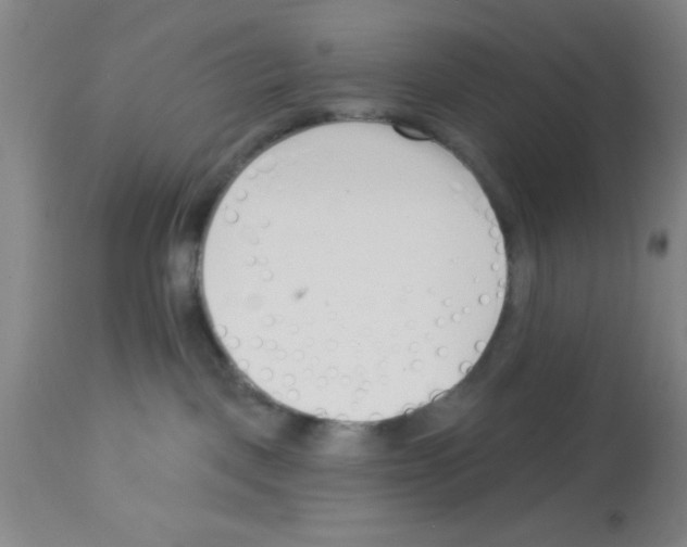 X0000113130093200910161142