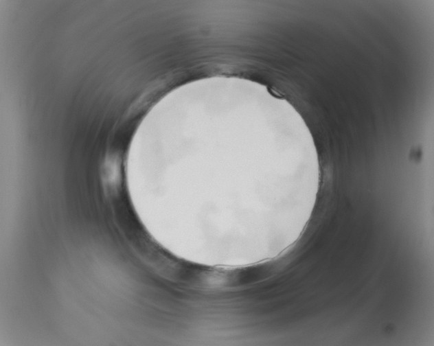 X0000113130094200910161142