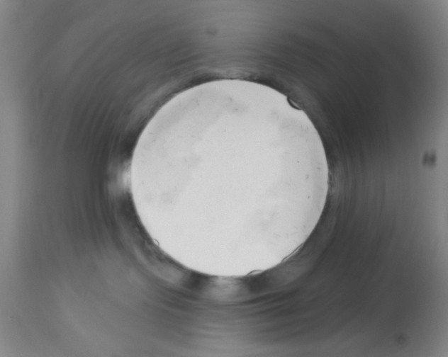 X0000113130095200910161142