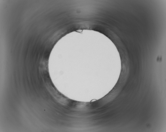 X0000113130096200910161143