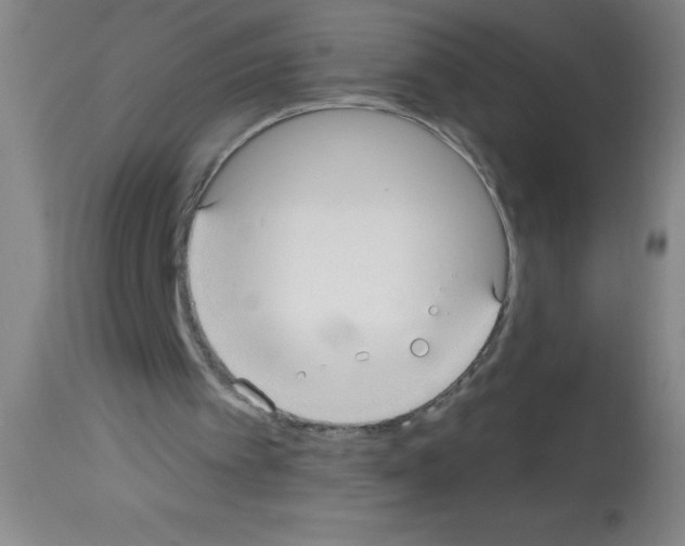 X0000113130097200910161142