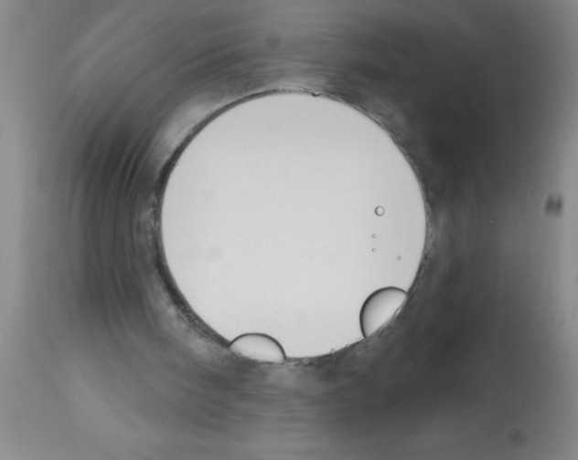 X0000113130098200910161142