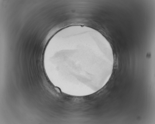 X0000113130099200910161142