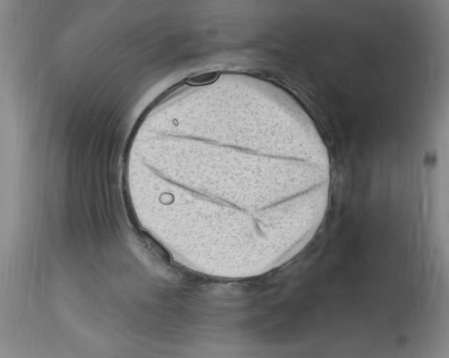 X0000113130100200910161142