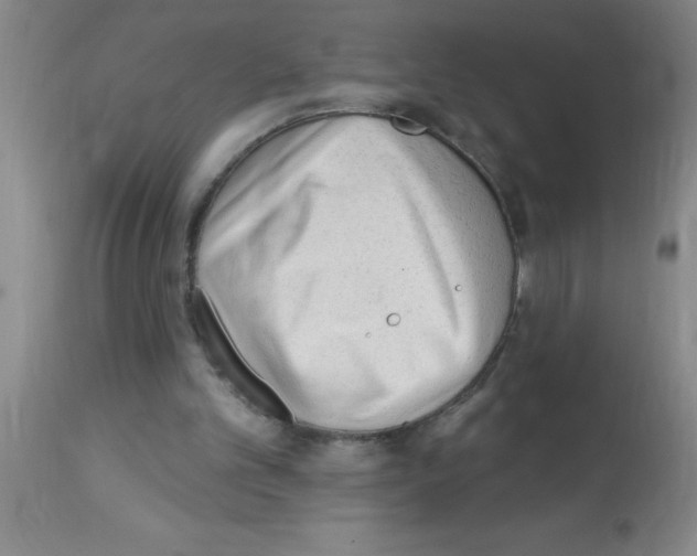 X0000113130101200910161142