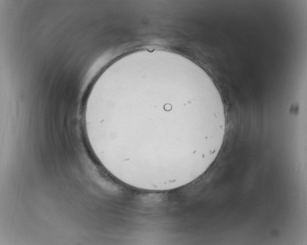 X0000113130102200910161142