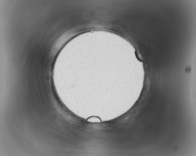 X0000113130103200910161142