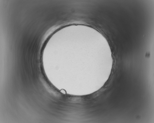 X0000113130104200910161142