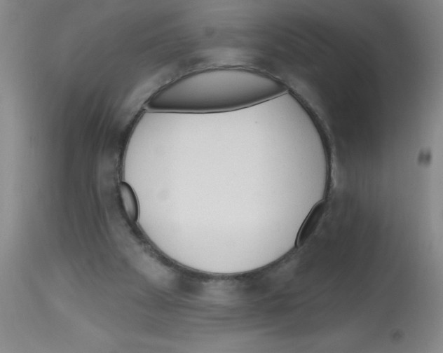 X0000113130105200910161142