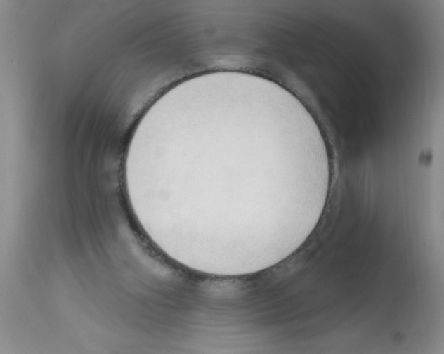X0000113130106200910161142