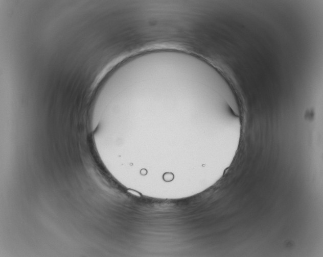 X0000113130108200910161142