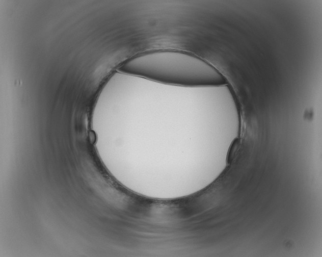 X0000113130109200910161142