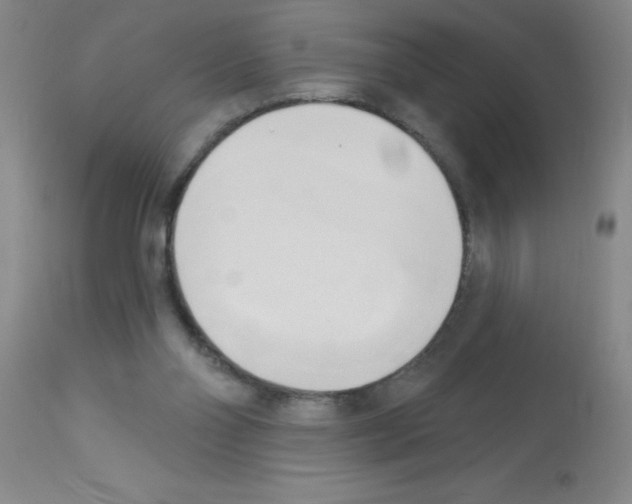 X0000113130110200910161142