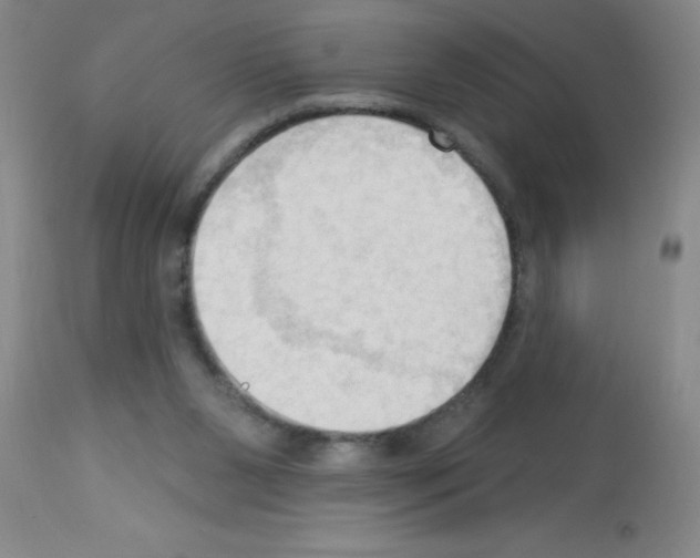 X0000113130111200910161142