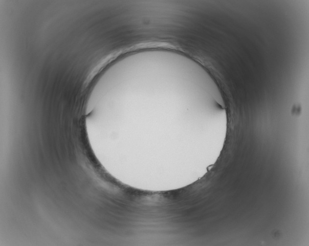 X0000113130112200910161142