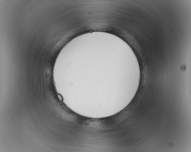 X0000113130113200910161142