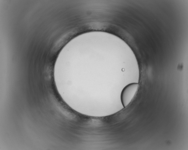 X0000113130114200910161142
